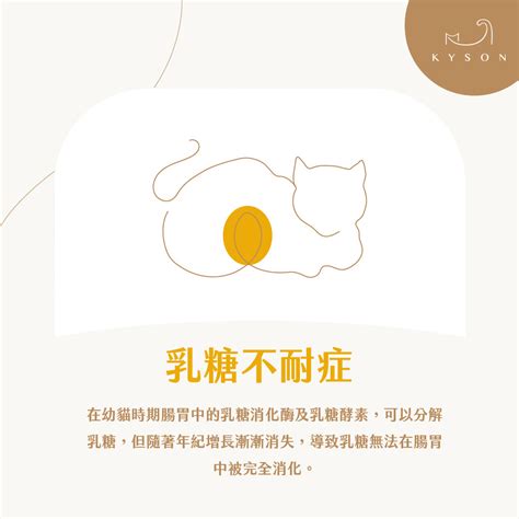 貓咪禁忌|【養貓必知】貓咪不能吃什麼，獸醫師告訴你哪些食物。